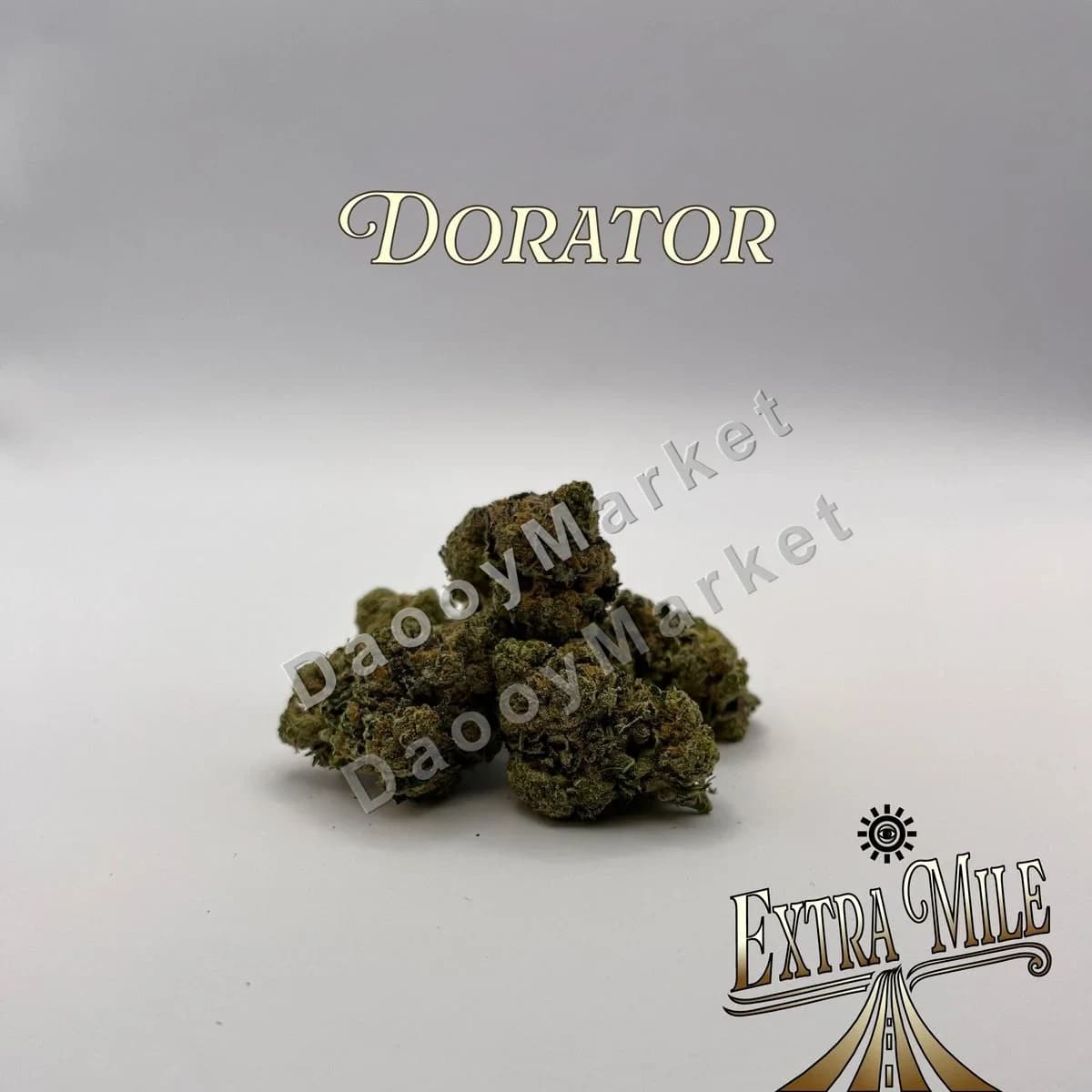 ๐ฟ Dorator ๐ฟ